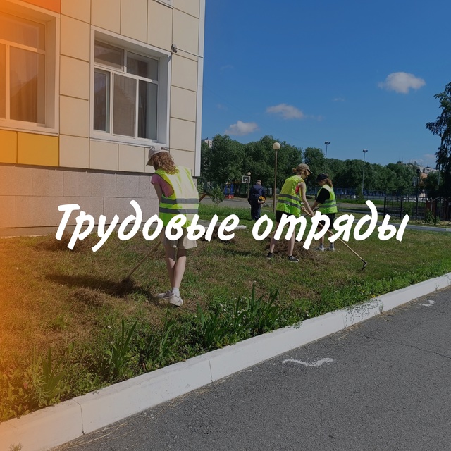 Трудовые отряды.