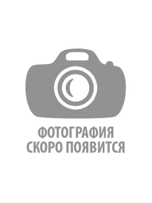 Кондратьева Ольга Григорьевна Кондратьева Ольга Григорьевна
